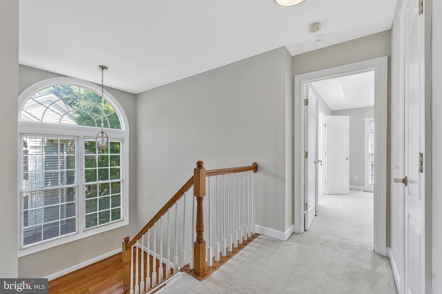 9546 Lagersfield Circle photo 27