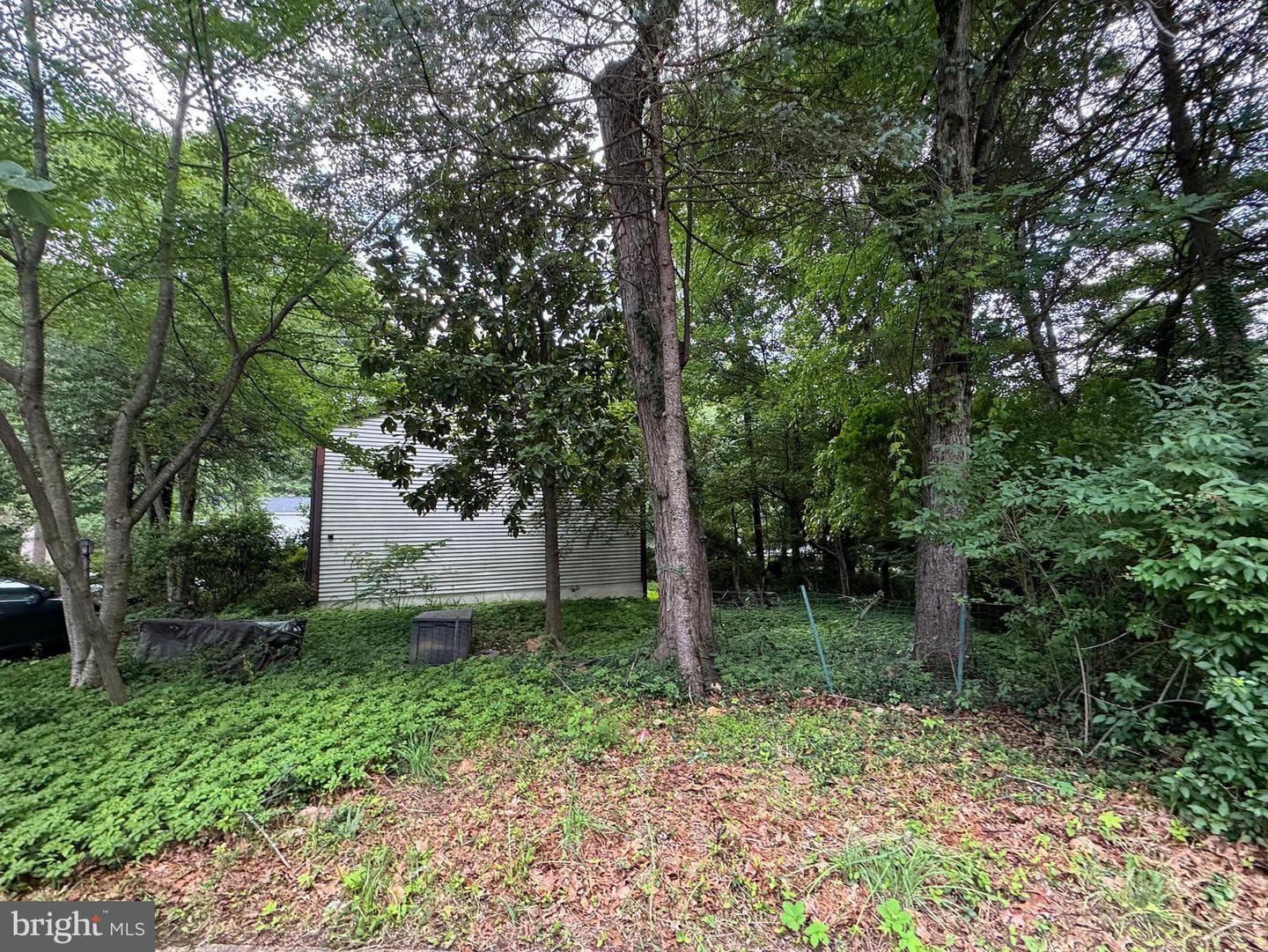 2309 Old Trail Drive photo 3