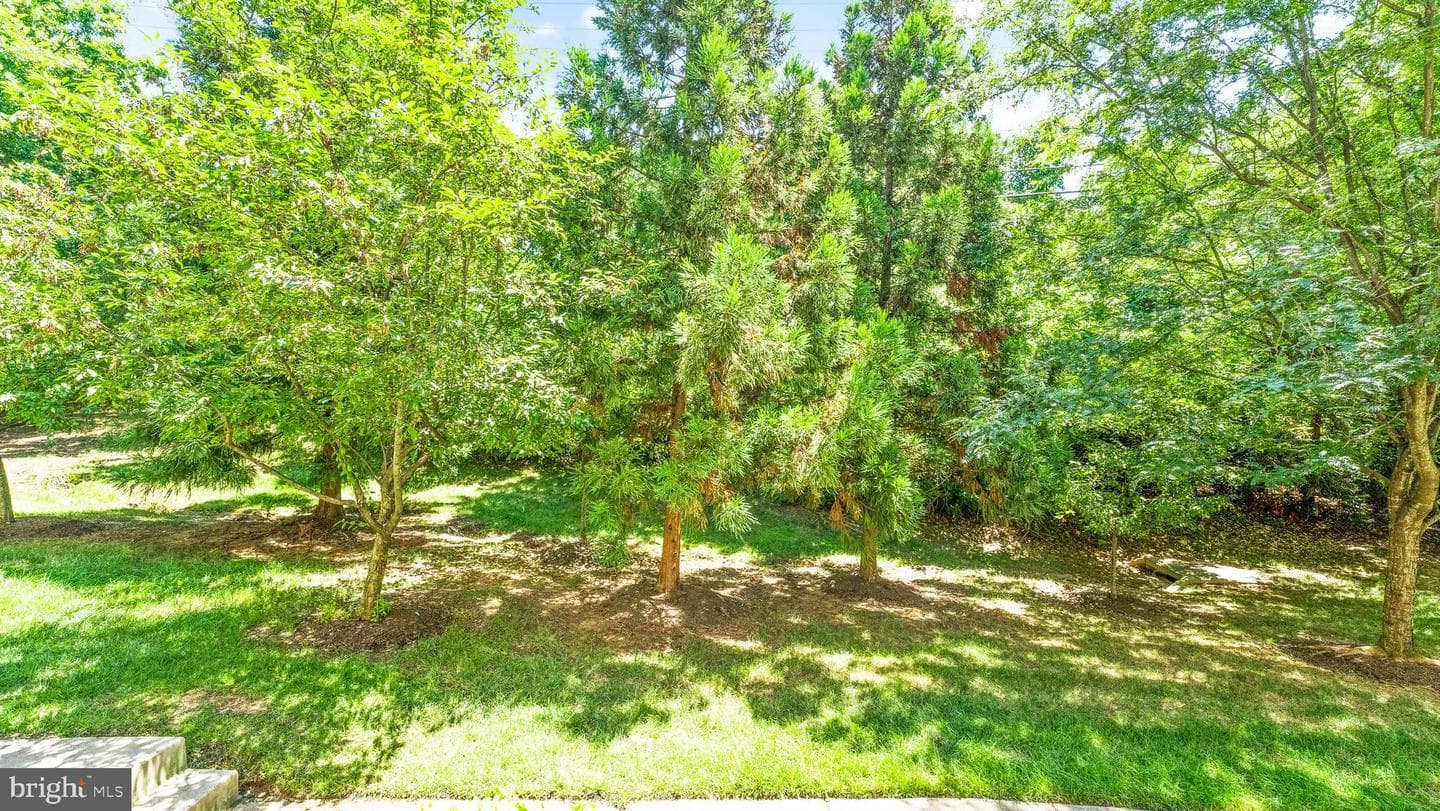 4427 Beechstone Lane photo 45