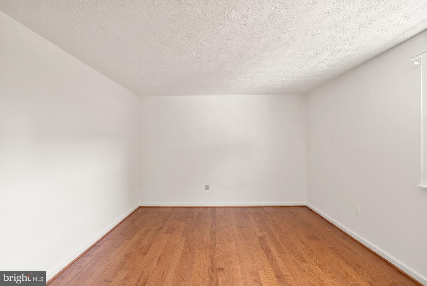 9603 Scorpio Court photo 19