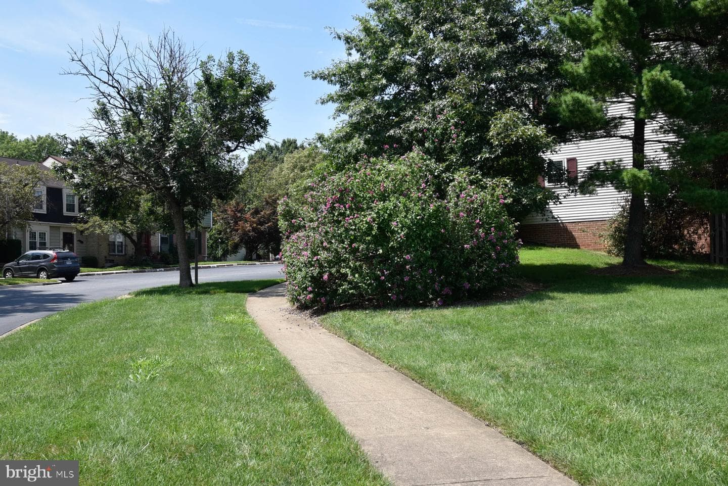 5576 James Young Way photo 125