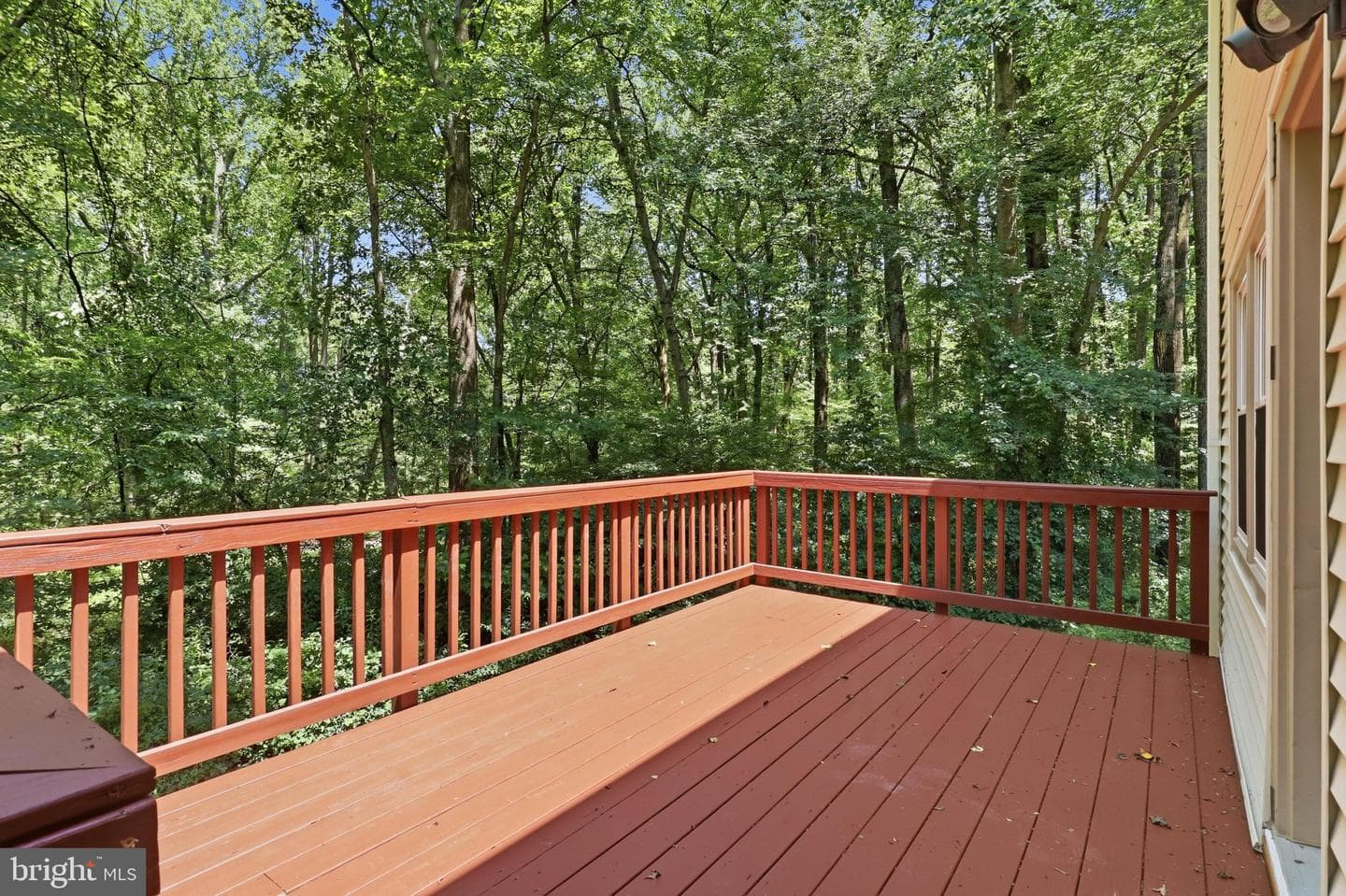 10100 Walnut Wood Court photo 16