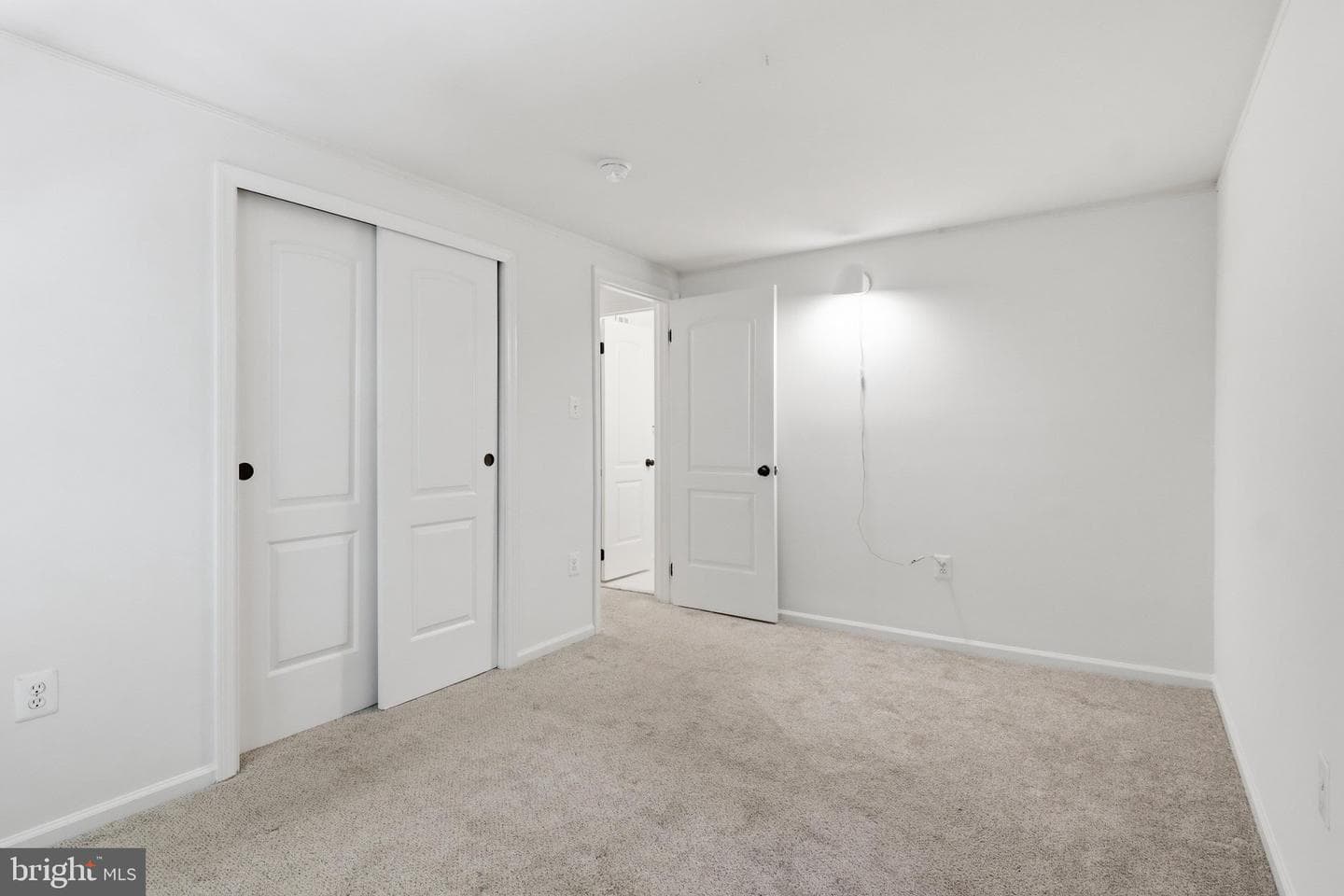 10100 Walnut Wood Court photo 28