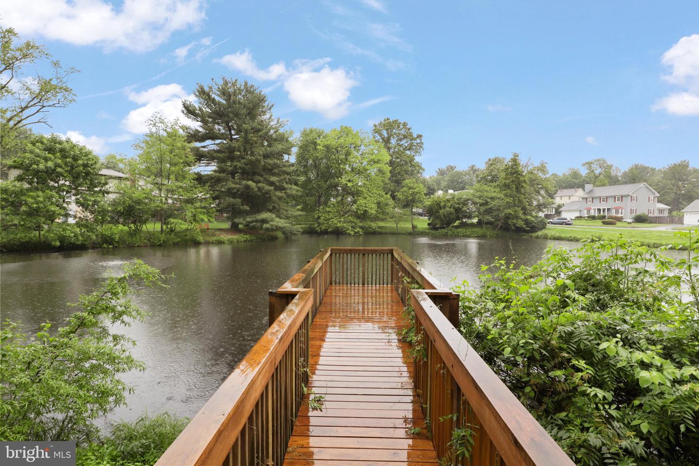 10100 Walnut Wood Court photo 47