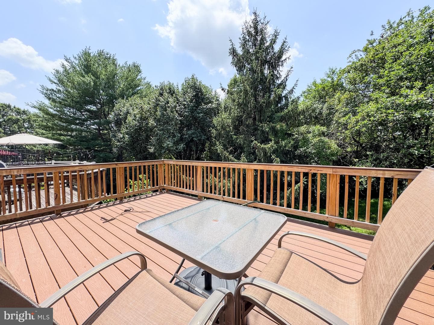 5938 Wild Brook Court photo 28