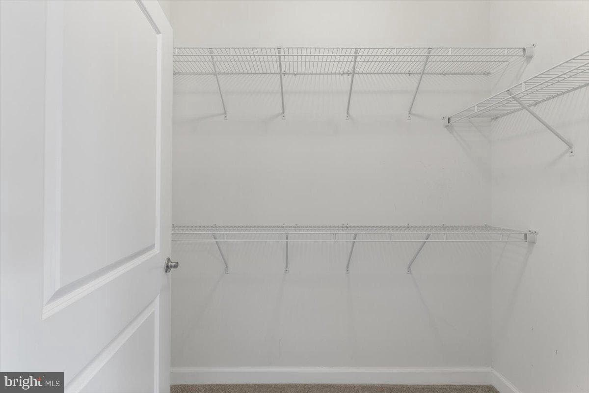 3117 Sundrops Court photo 29
