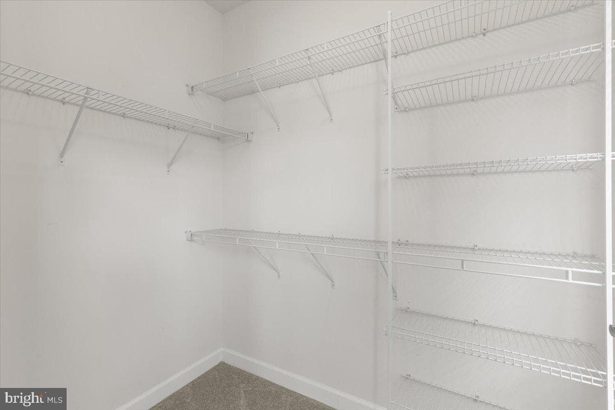 3117 Sundrops Court photo 31