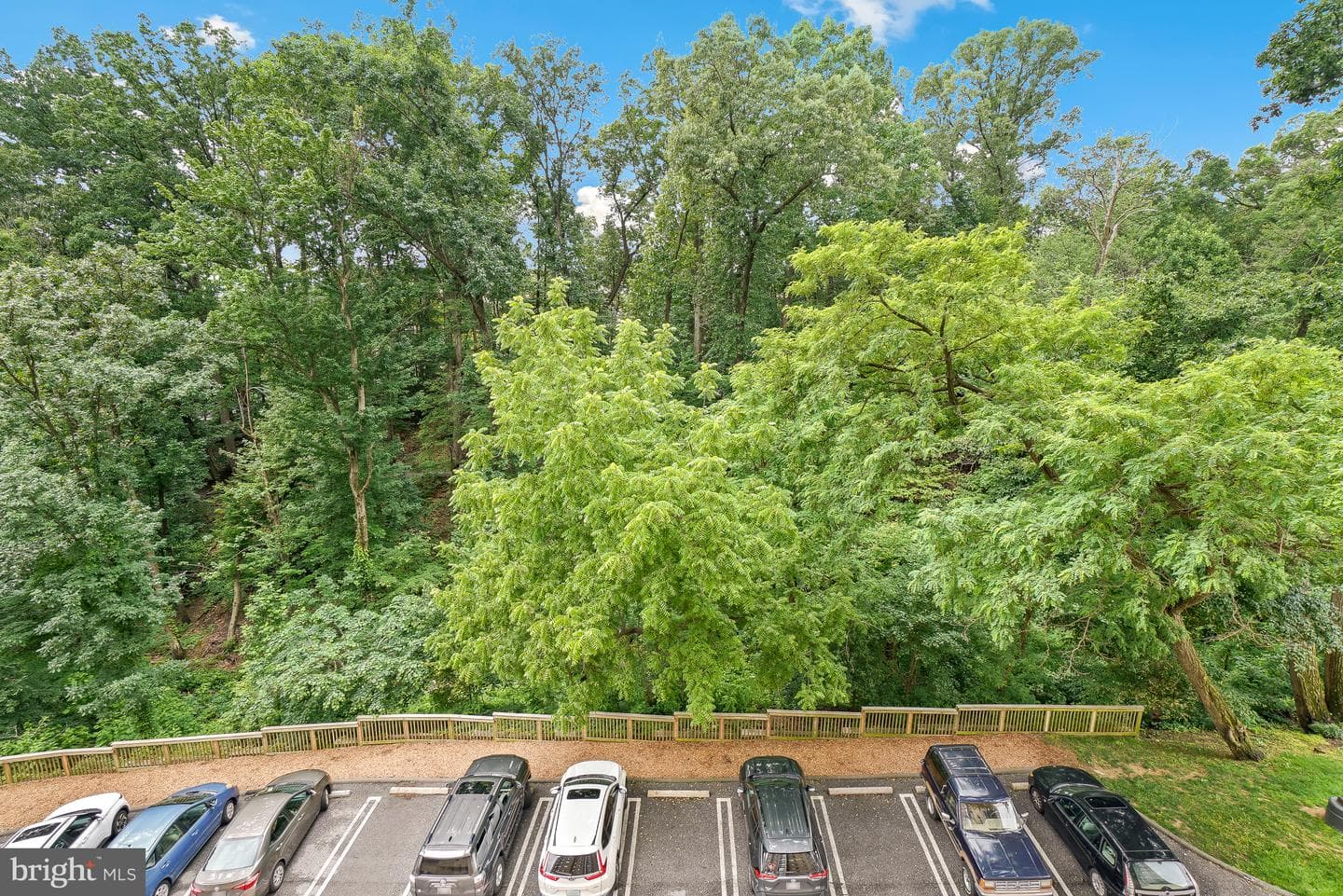 5902 Mount Eagle Drive #316 photo 10