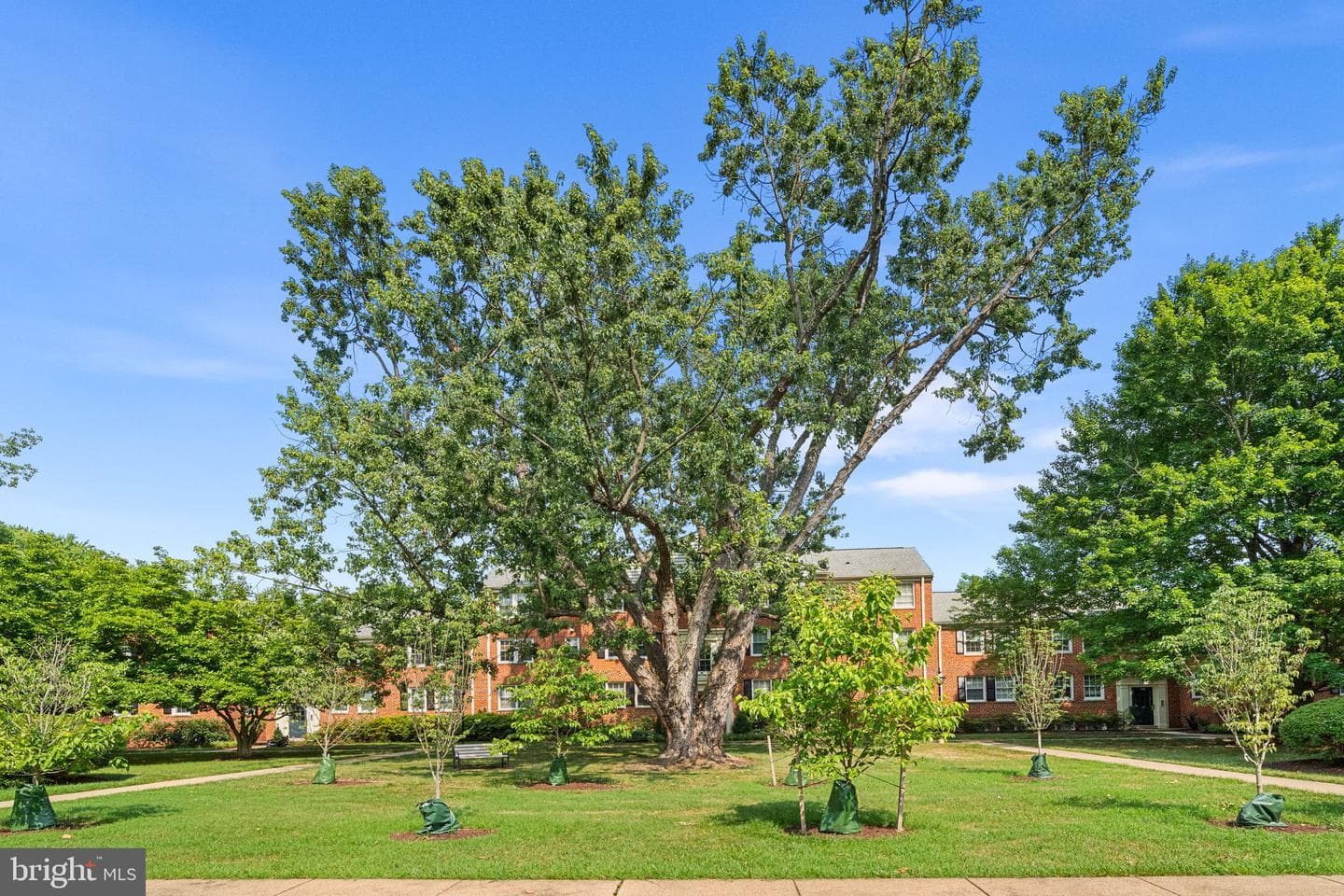 6505 Potomac Avenue #a1 photo 32