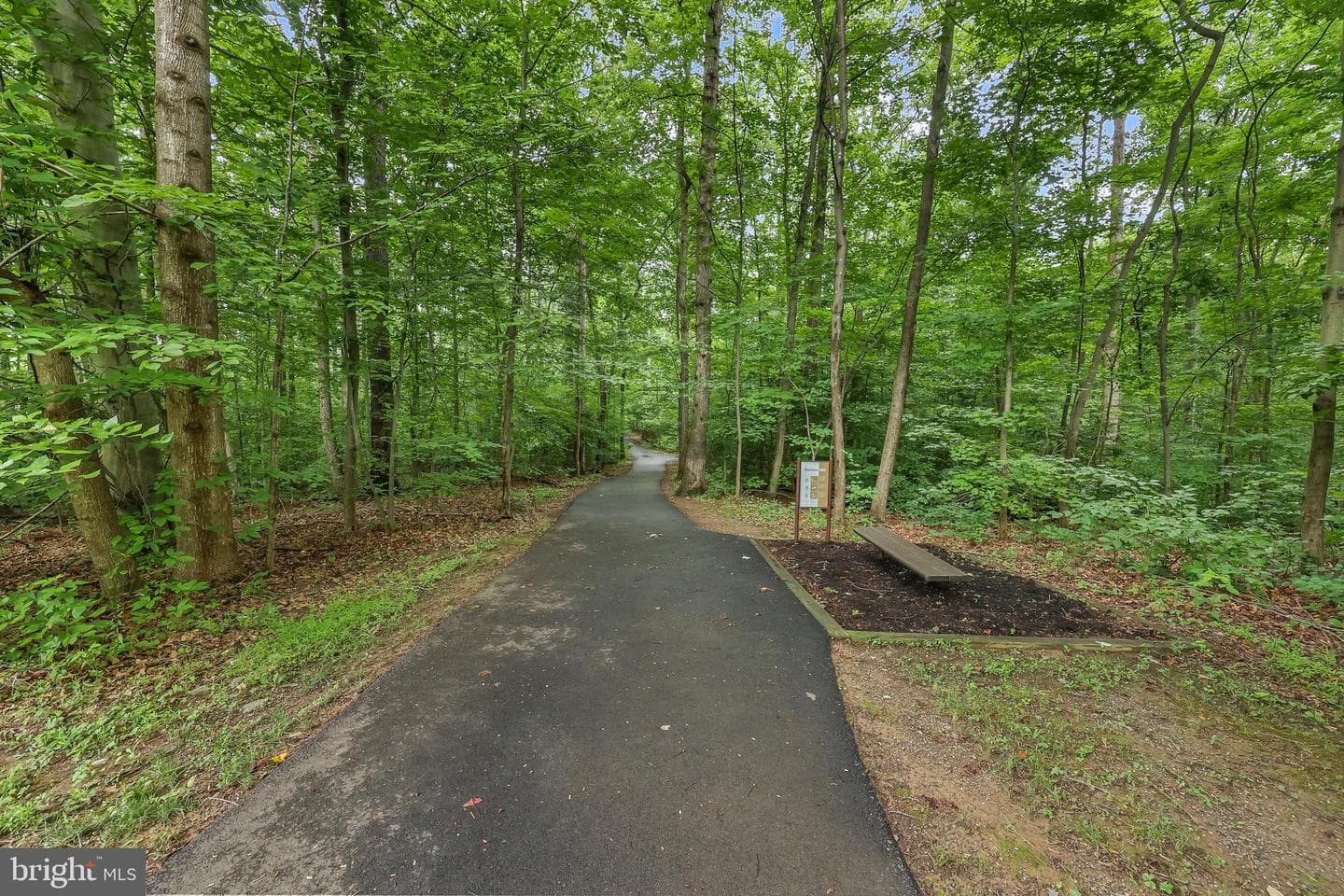 7315 Golden Horseshoe Court photo 43