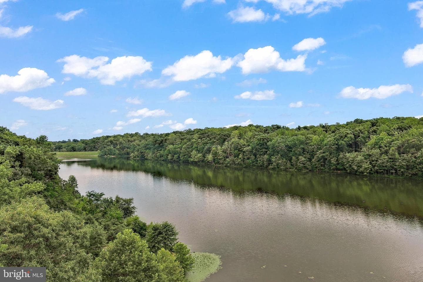 7315 Golden Horseshoe Court photo 46