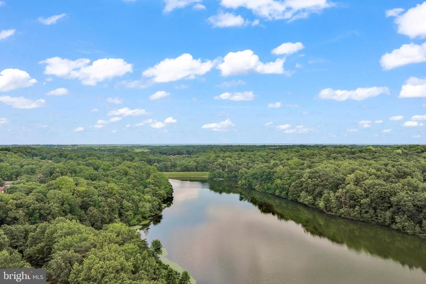 7315 Golden Horseshoe Court photo 47