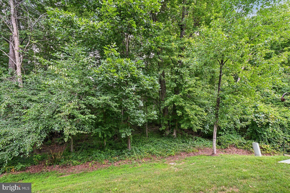 8429 Carmela Circle photo 53