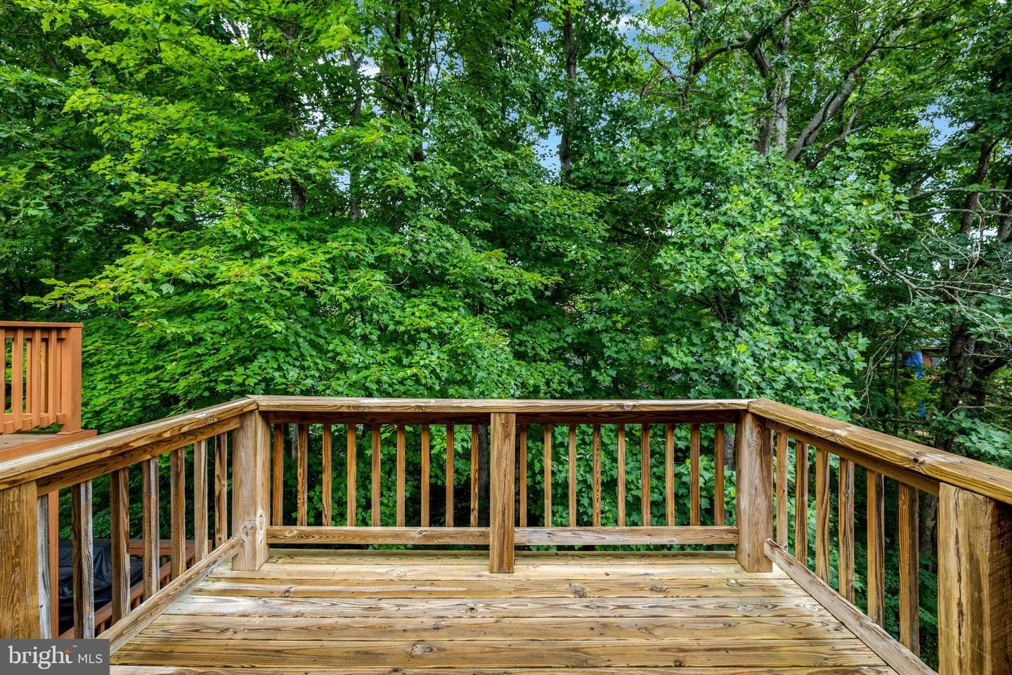 2225 Cedar Cove Court photo 23