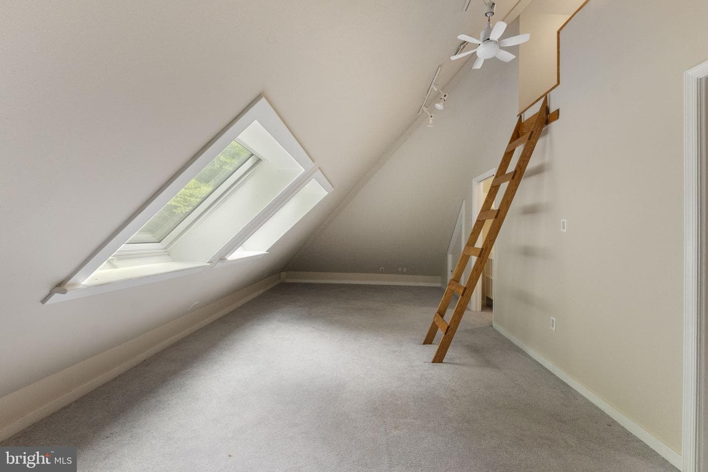 10101 Jaydee Boulevard photo 43