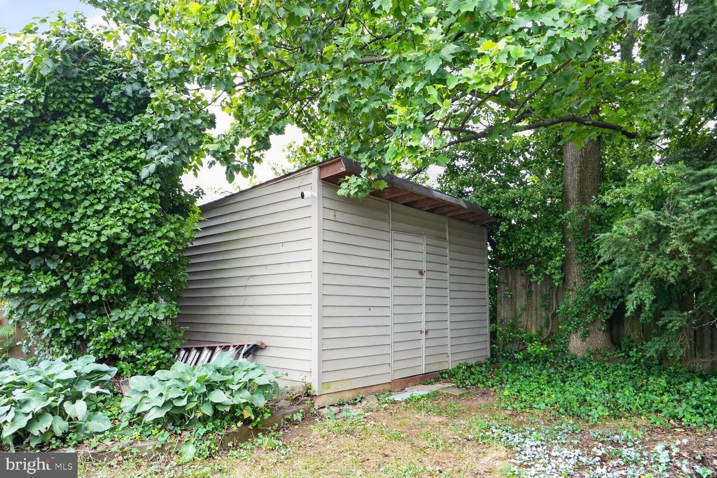 7304 Dickenson Street photo 53