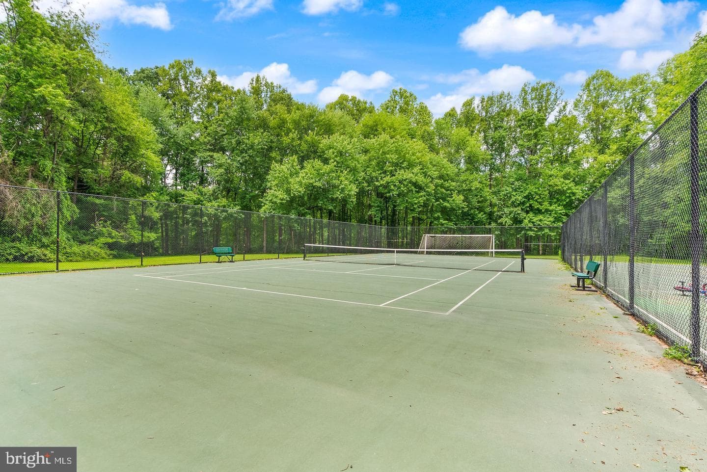11232 Chestnut Grove Square #135 photo 5