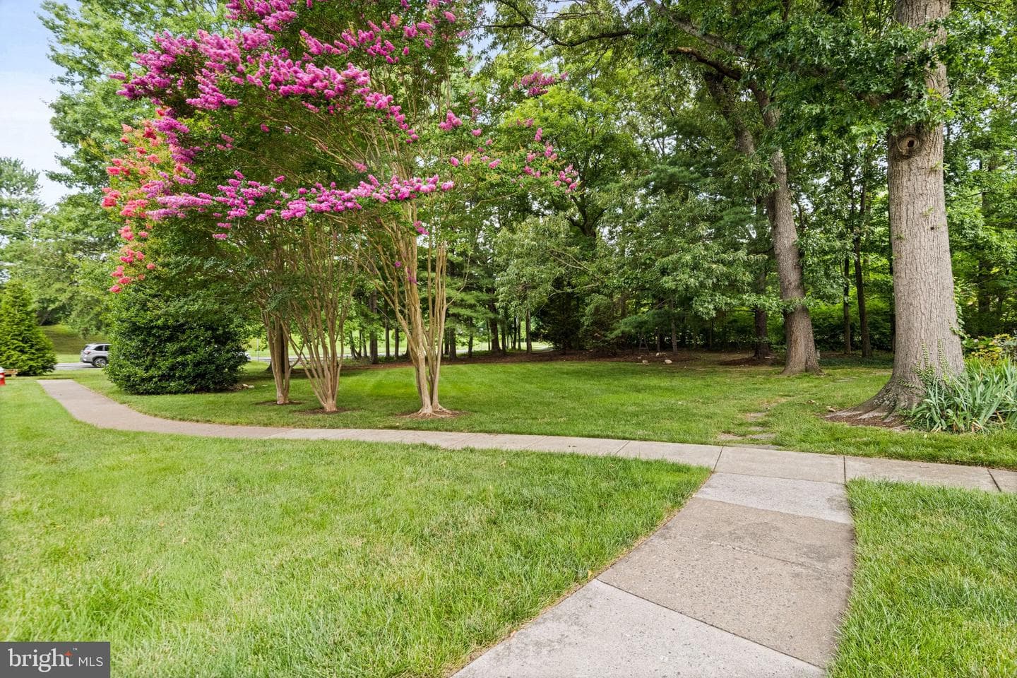 9664 Masterworks Drive photo 44