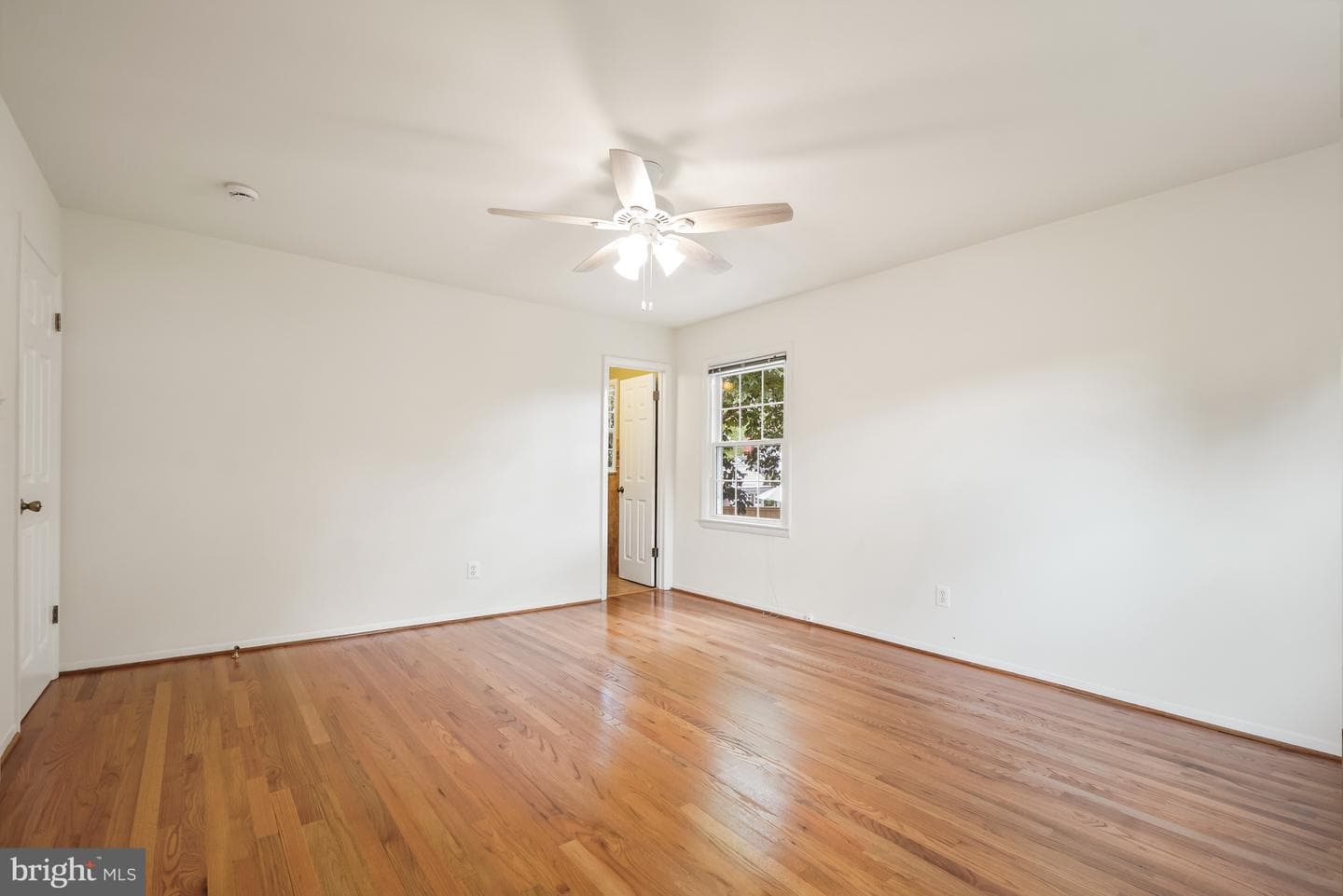 8524 Doter Drive photo 30