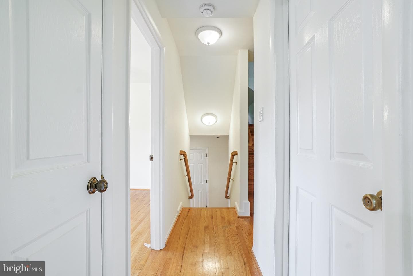8524 Doter Drive photo 44