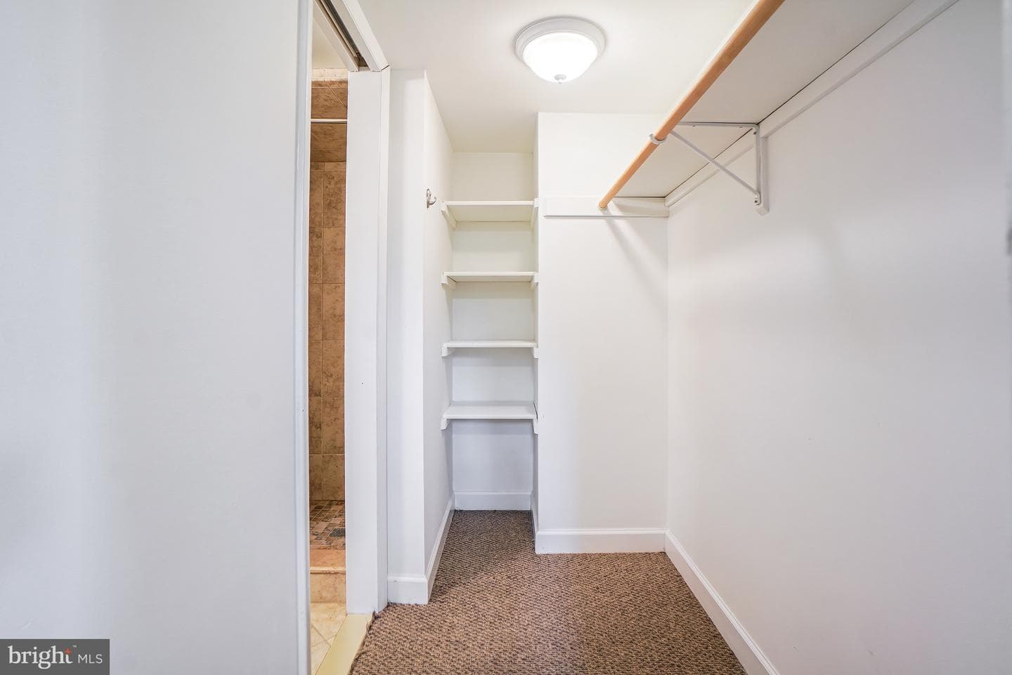 8524 Doter Drive photo 54