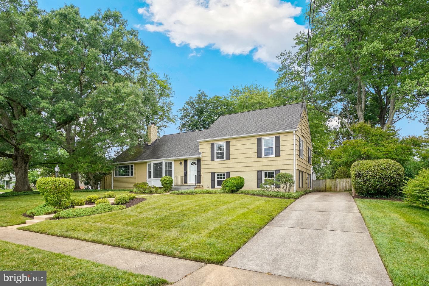 8524 Doter Drive photo 6