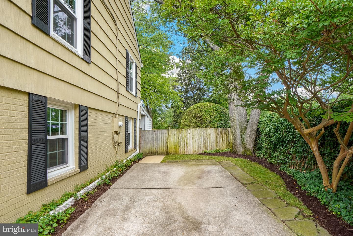8524 Doter Drive photo 8