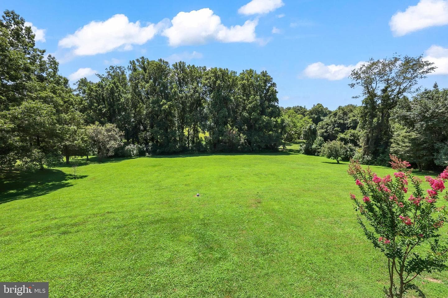 10915 Belgravia Court photo 21