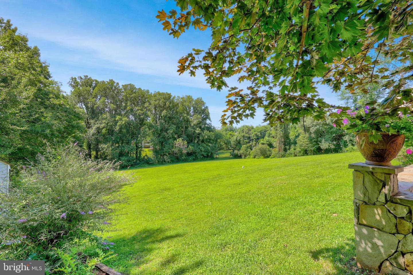 10915 Belgravia Court photo 59