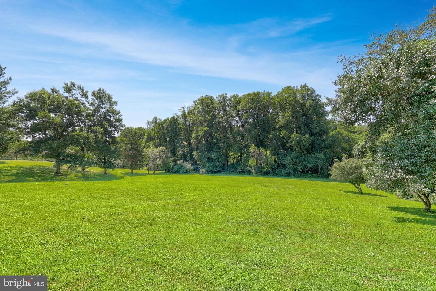 10915 Belgravia Court photo 60