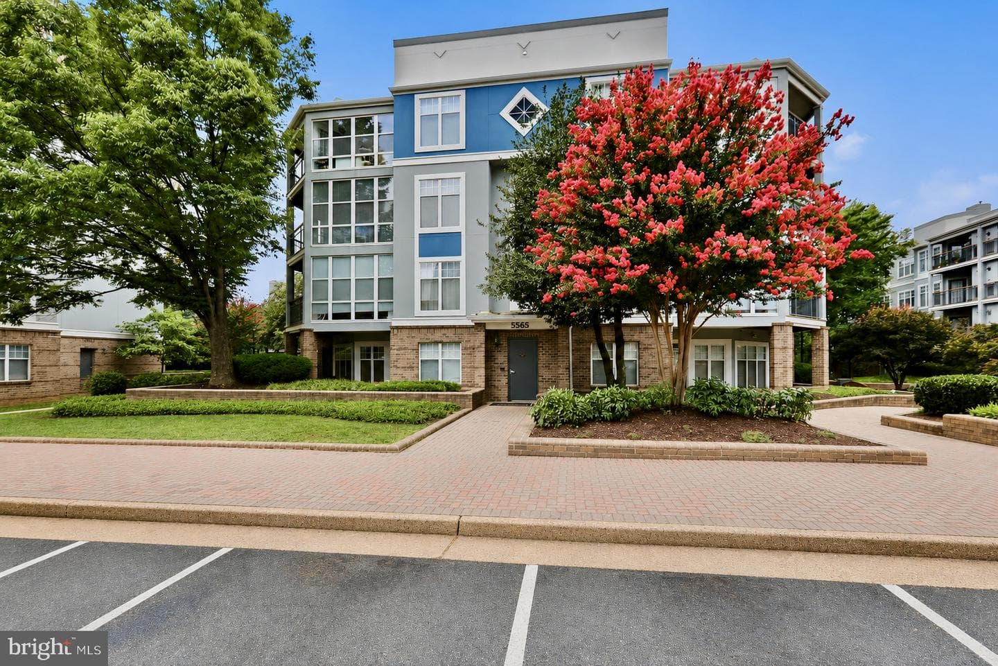 5565 Seminary Road #314 photo 1