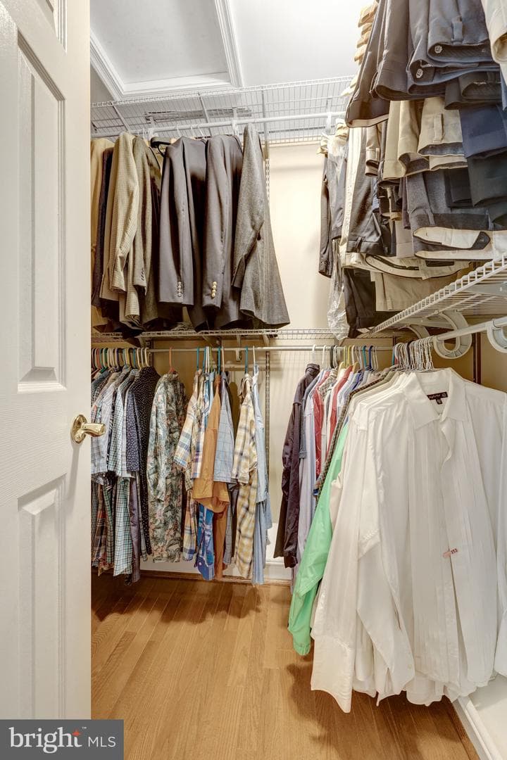 10608 Kilcormac Way photo 50