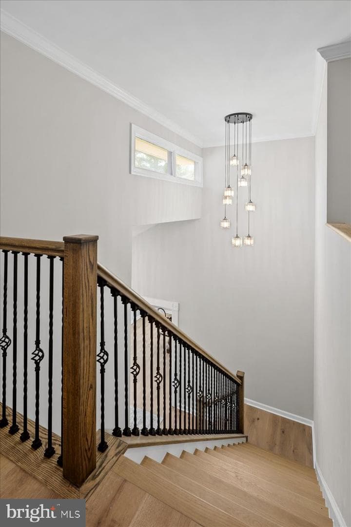 353 Gallop Wood Place photo 49