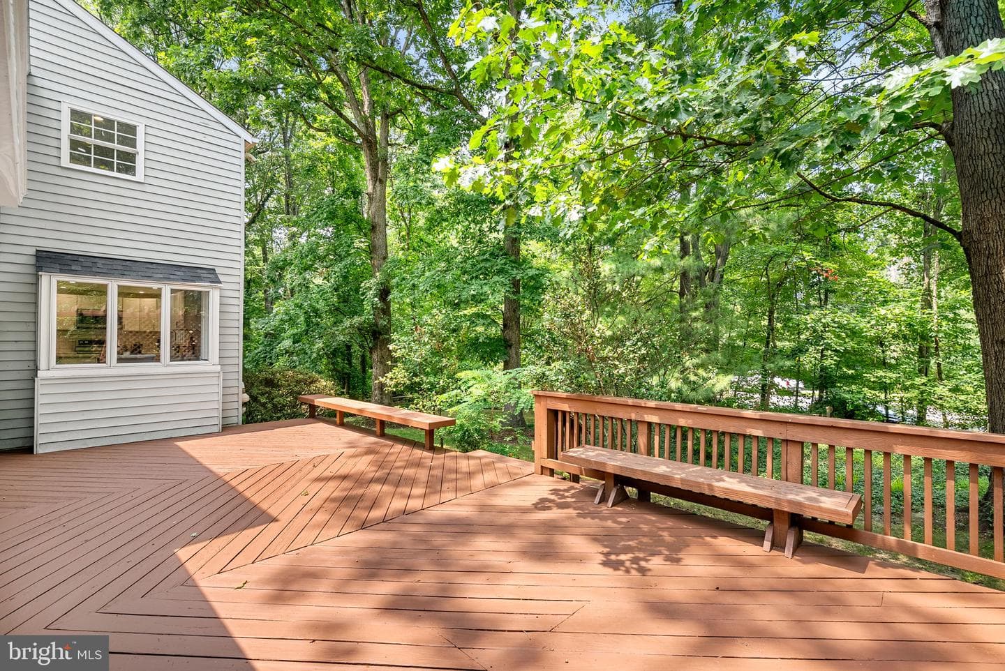 2284 Dosinia Court photo 54