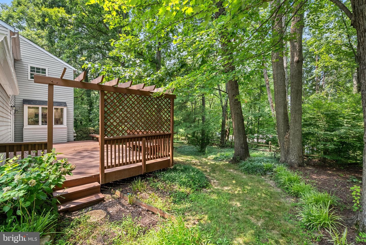 2284 Dosinia Court photo 56