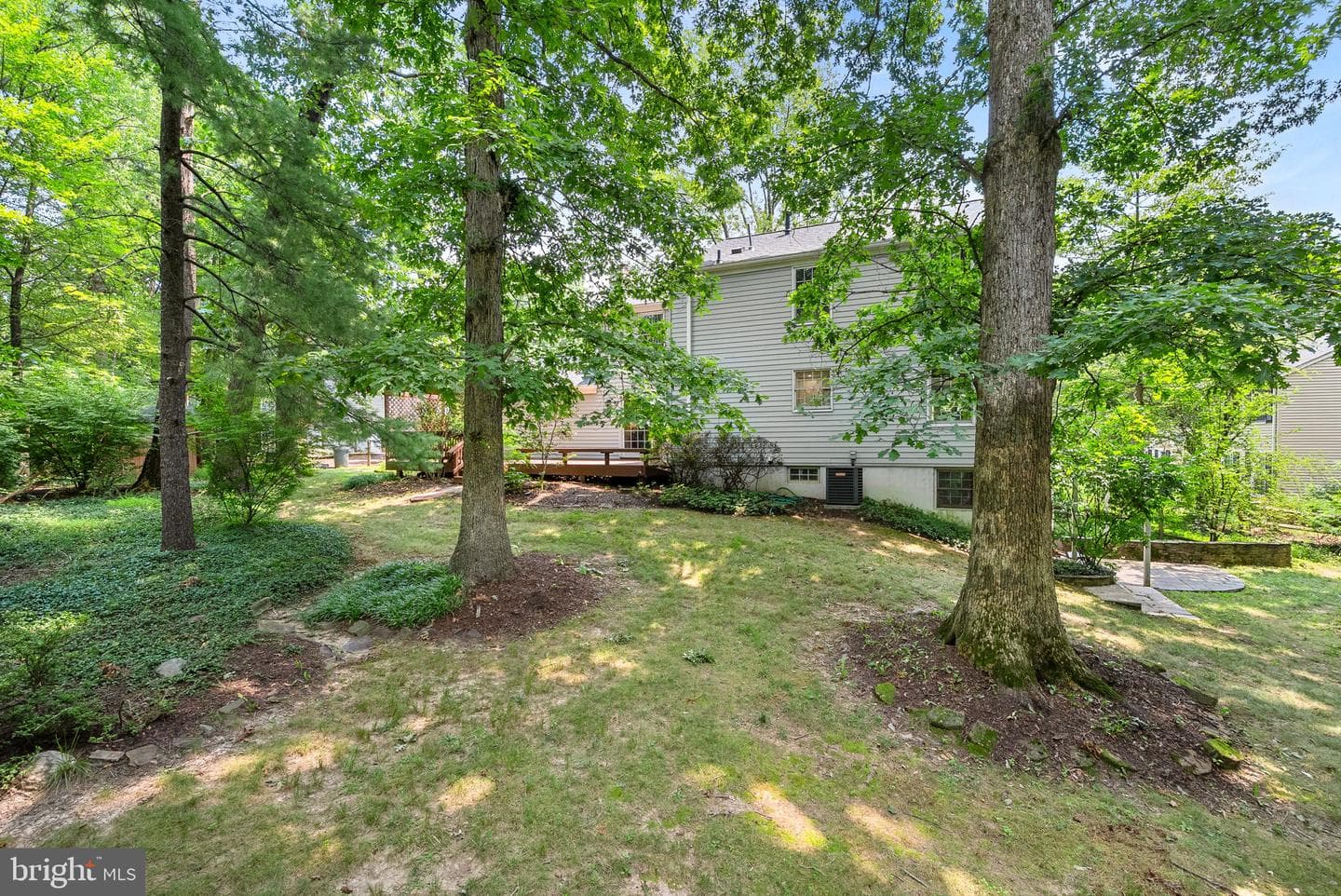 2284 Dosinia Court photo 60