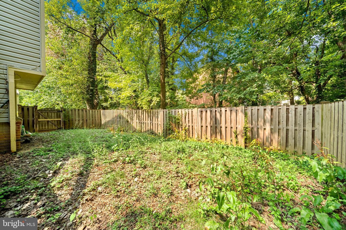 3701 Roxbury Lane photo 52