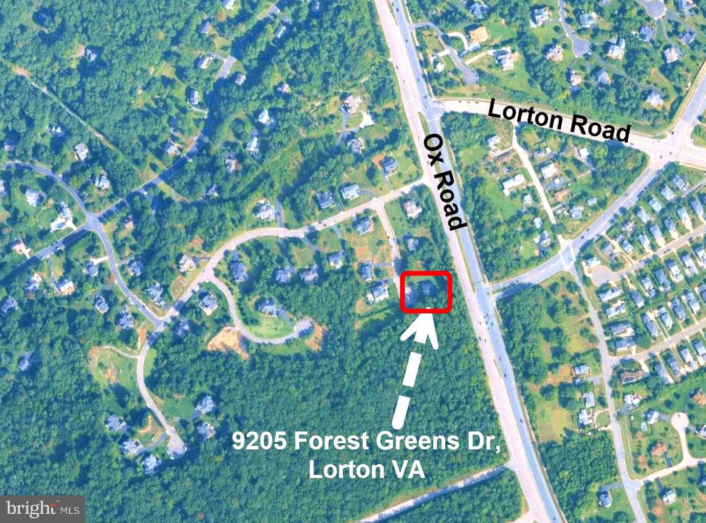 9205 Forest Greens Drive photo 14
