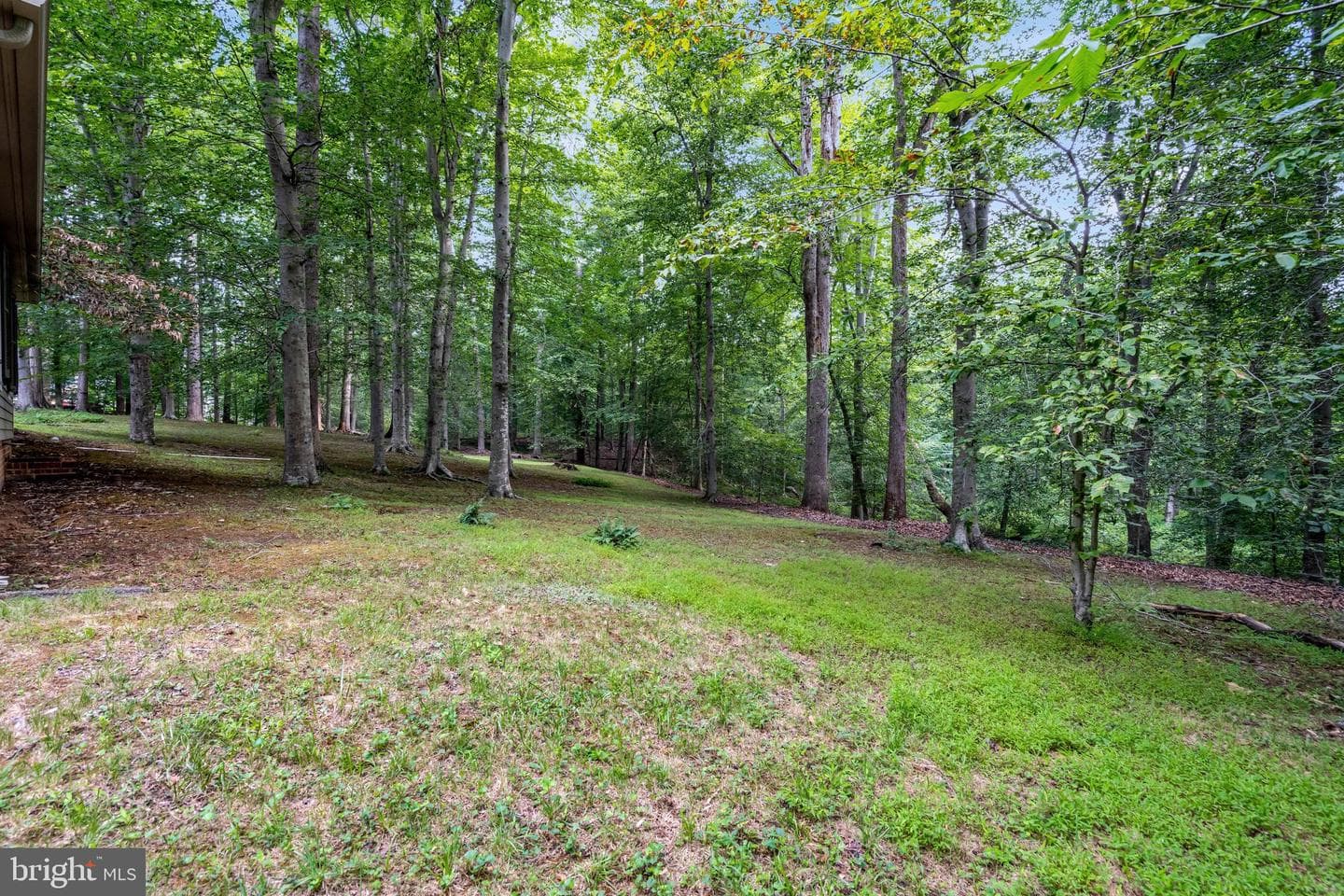 7430 Clifton Road photo 69
