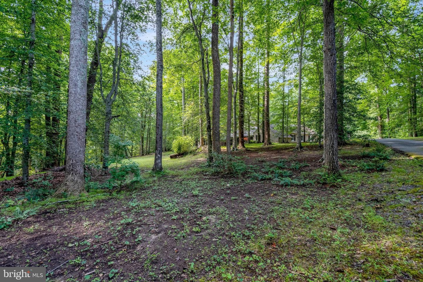 7430 Clifton Road photo 79