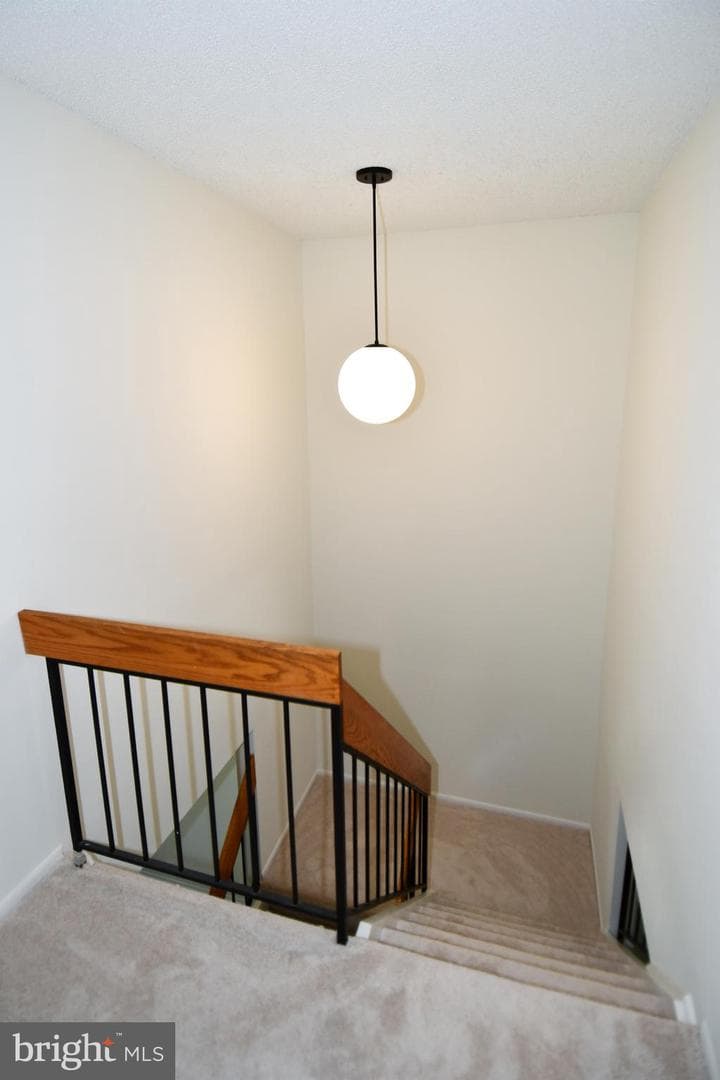 2231 Cartwright Place photo 21