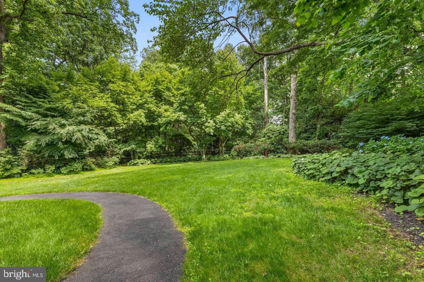 11103 Burywood Lane photo 58