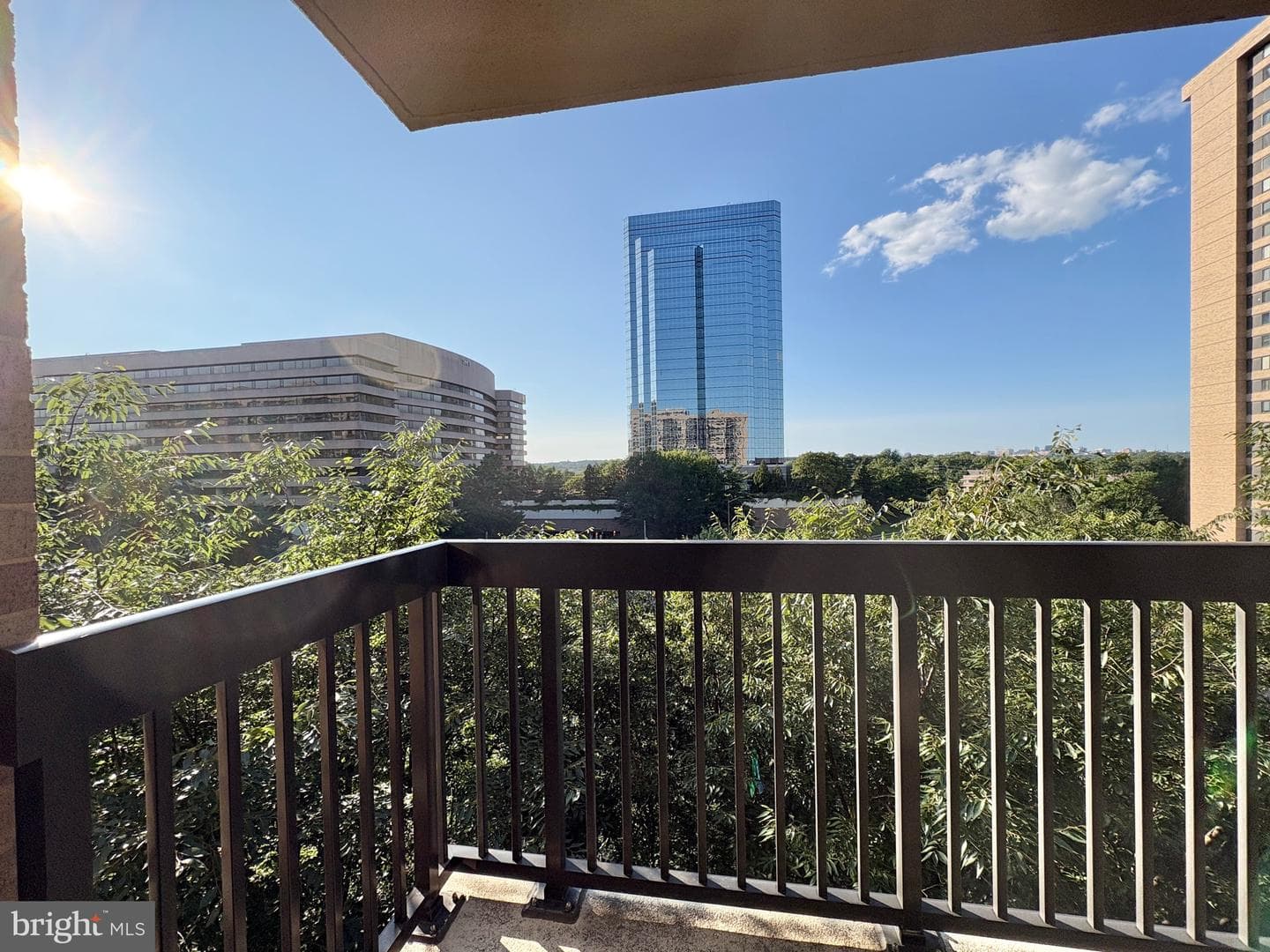 3709 S George Mason Drive #605e photo 10