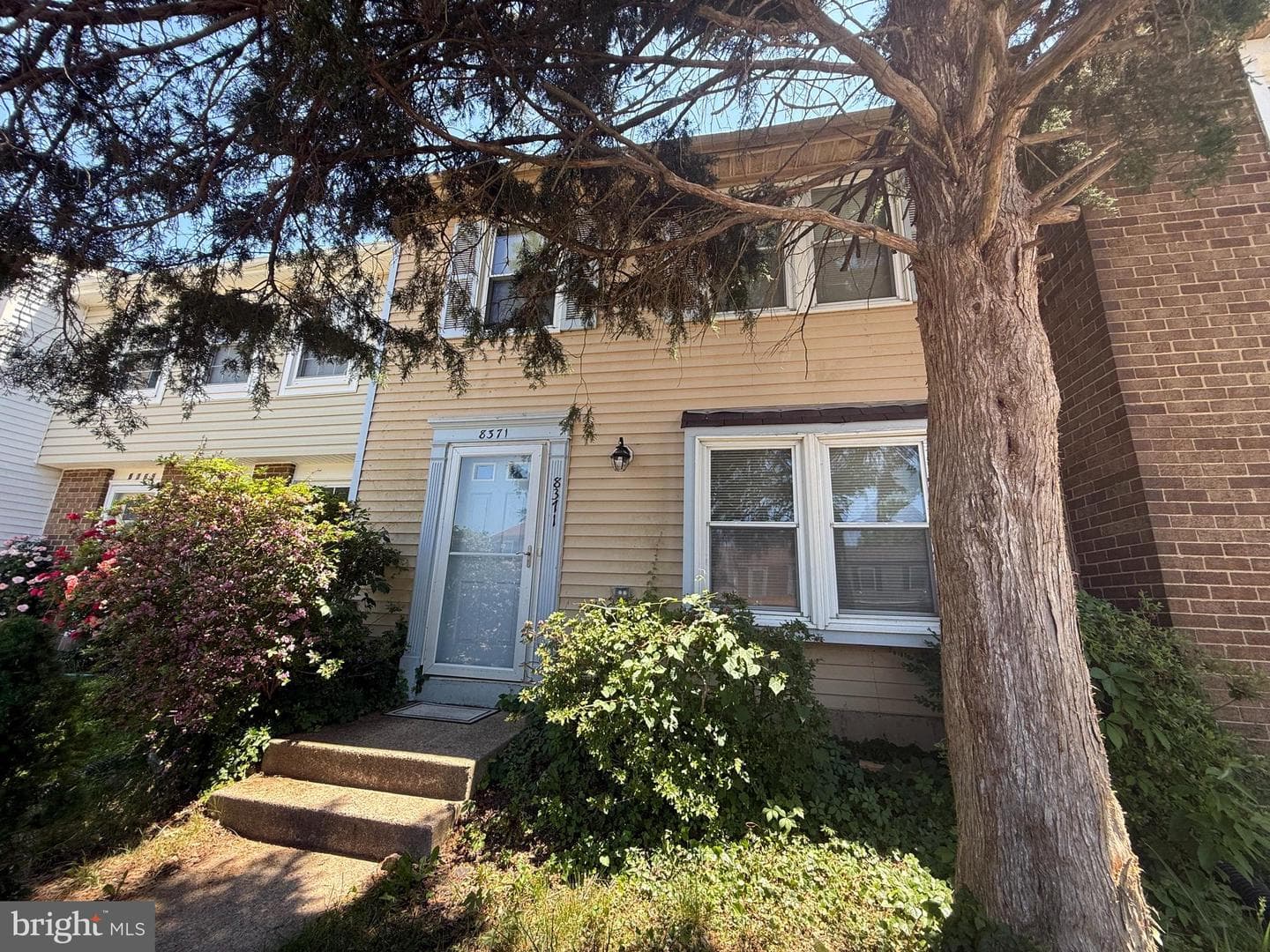 8371 Brockham Drive, Alexandria