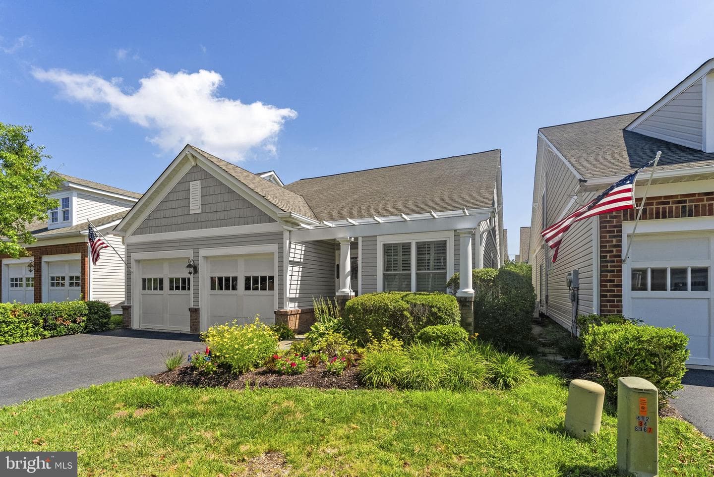 8404 Mountain Larkspur photo 1