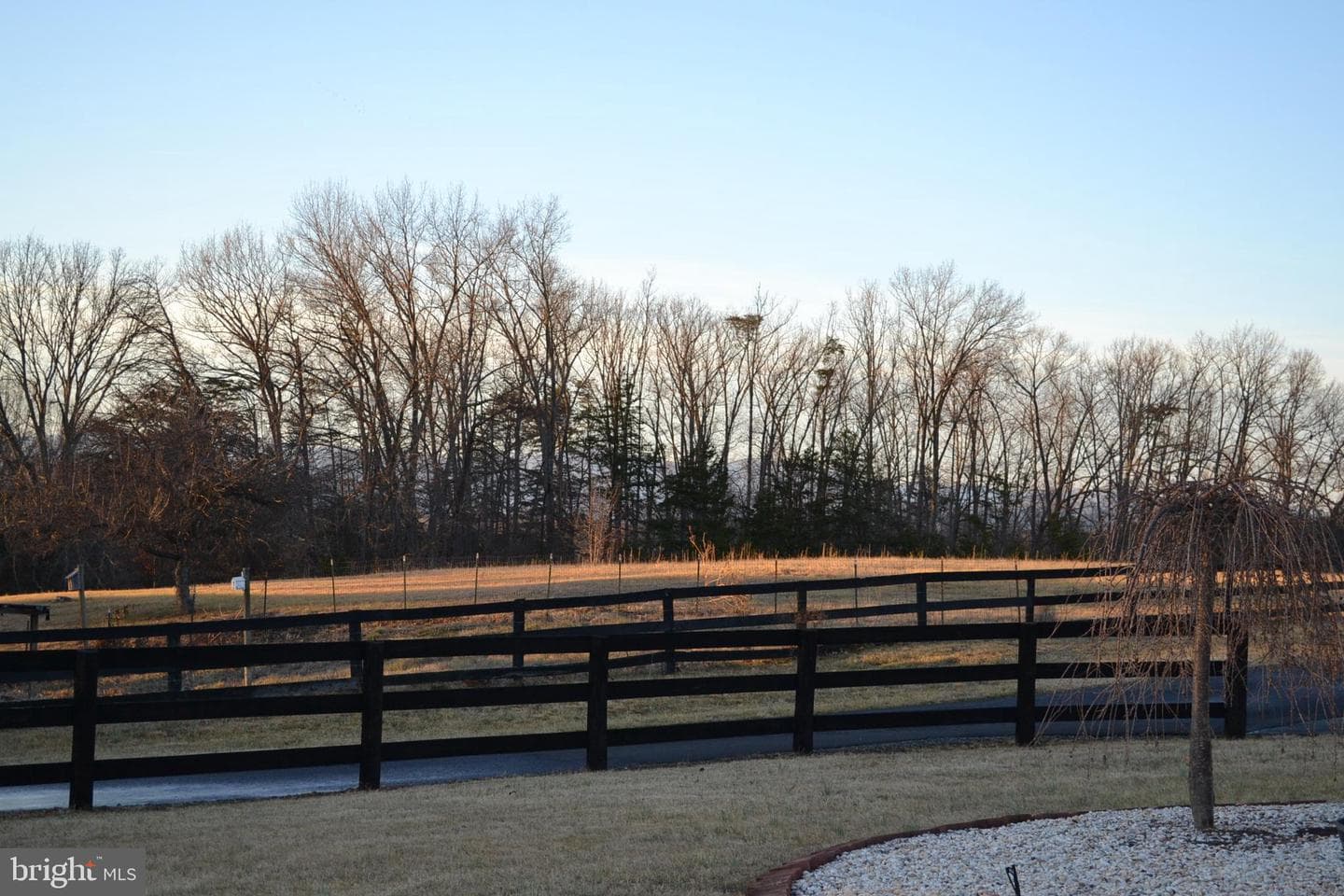 6919 Fredericksburg Road photo 53