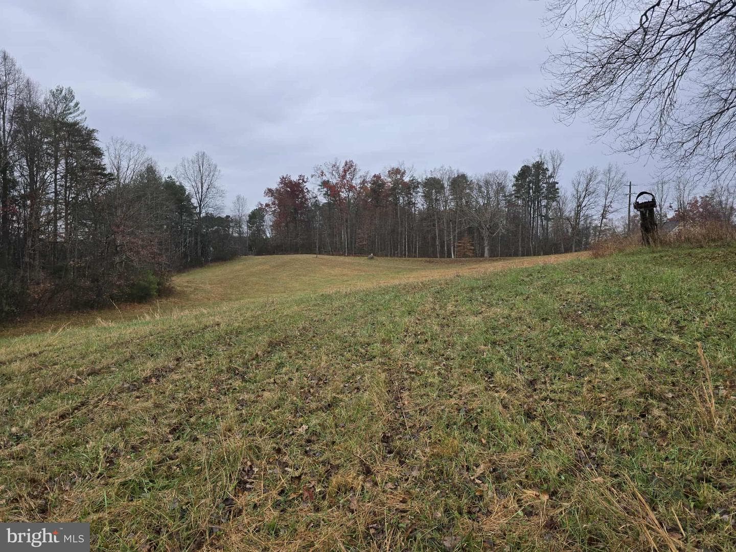 729 Celt Road photo 10