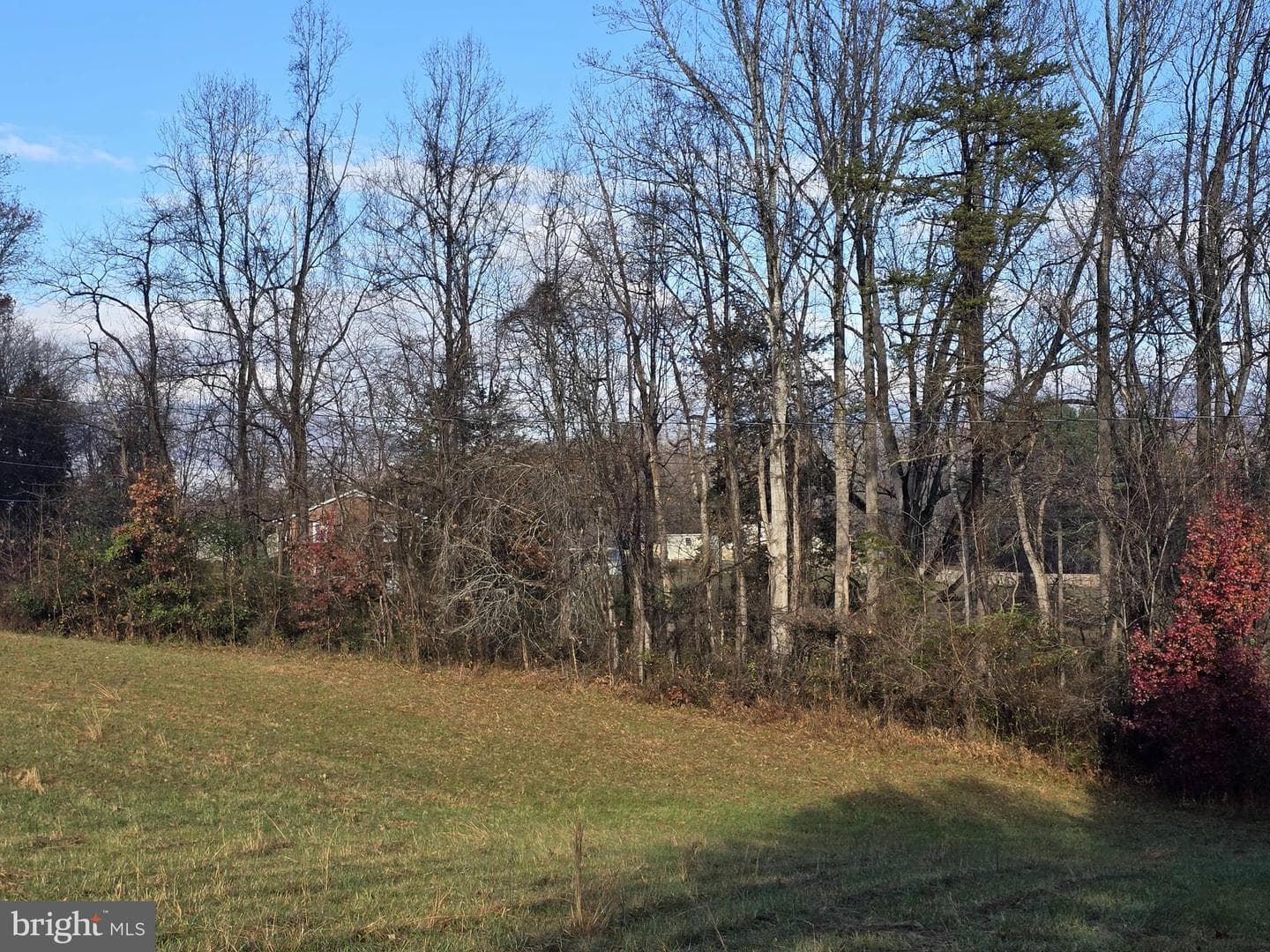 729 Celt Road photo 19