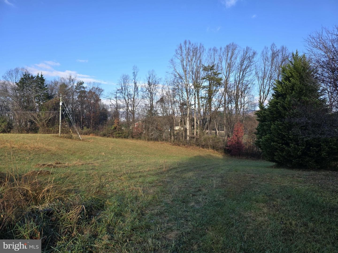 729 Celt Road photo 20