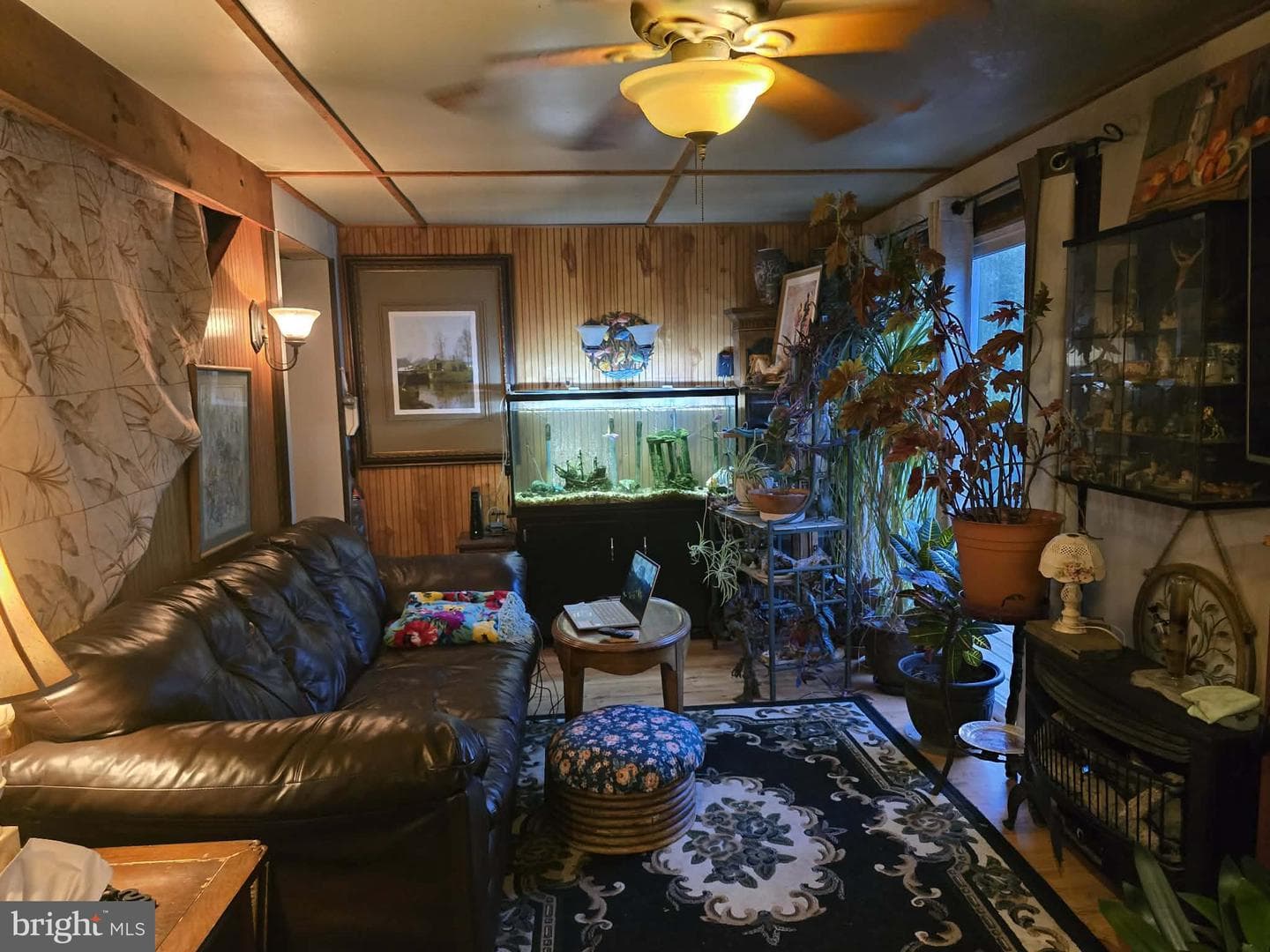 446 Spring Drive photo 10